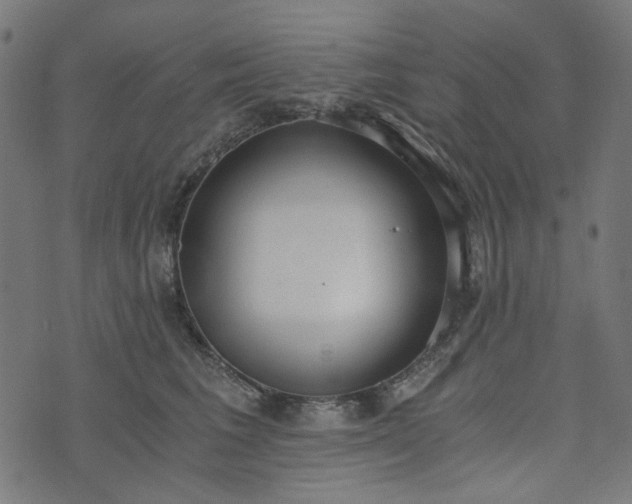 X0000073720613200608171205