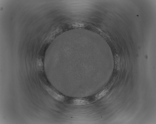 X0000073720614200608171205