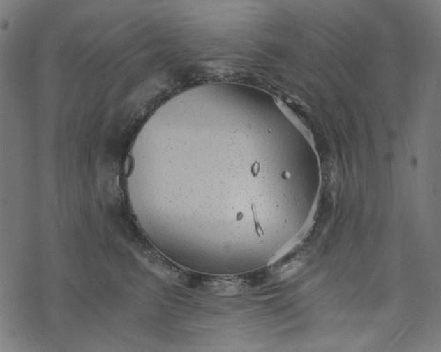 X0000073720615200608171205