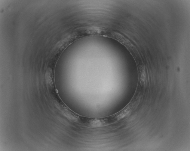 X0000073720616200608171205