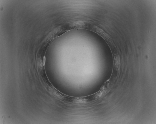 X0000073720617200608171205