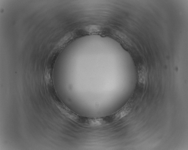 X0000073720618200608171205