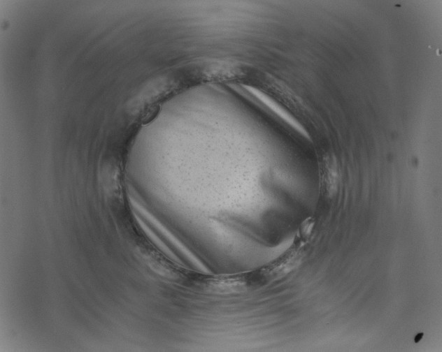 X0000073720619200608171205