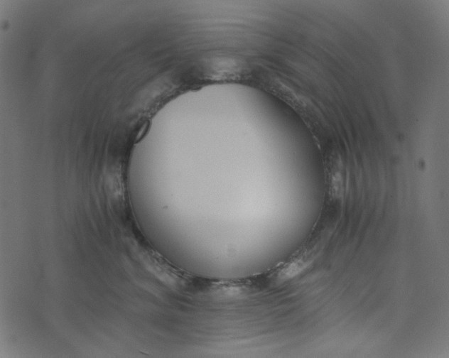 X0000073720620200608171205