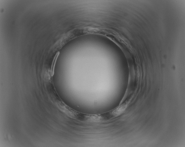 X0000073720621200608171205