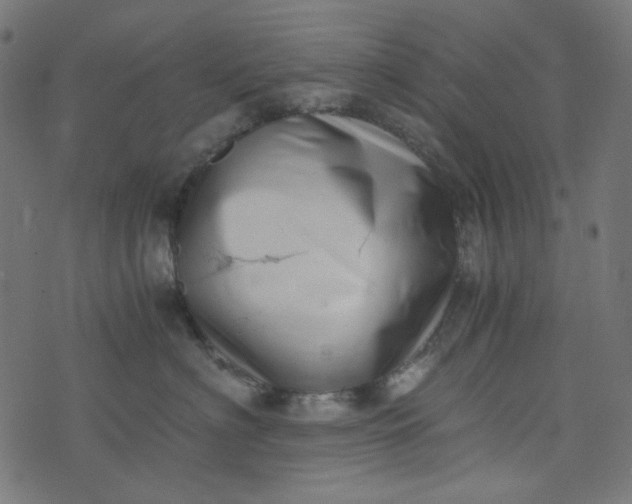 X0000073720622200608171205