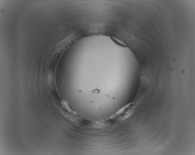 X0000073720623200608171205