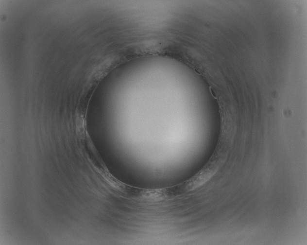 X0000073720624200608171205