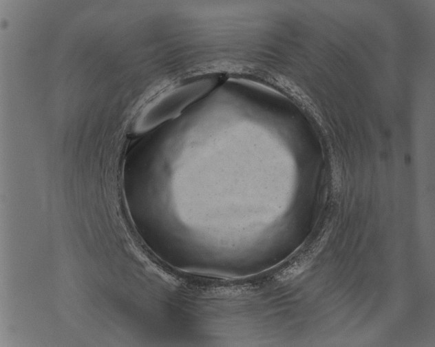 X0000073720625200608171204