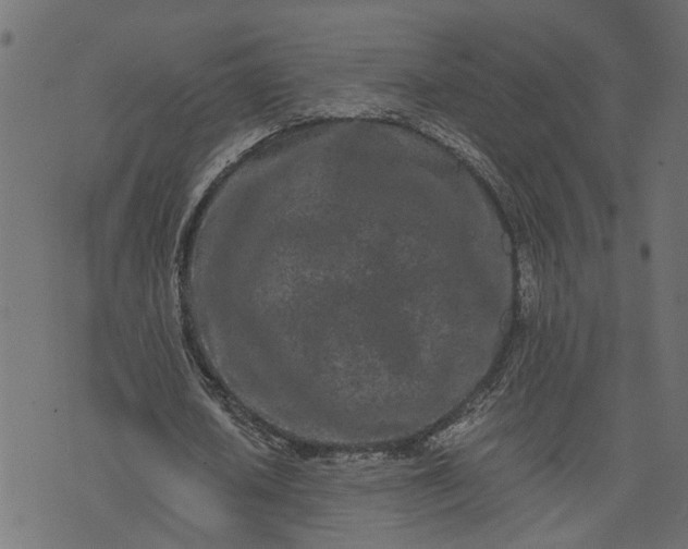 X0000073720626200608171204