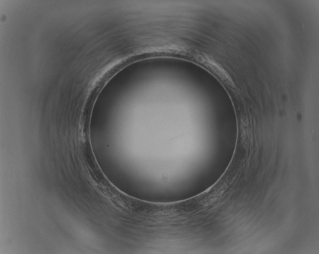 X0000073720628200608171204