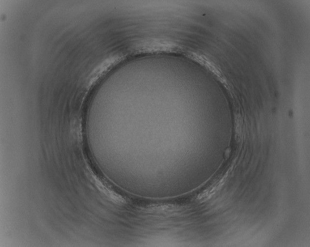 X0000073720629200608171204