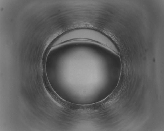 X0000073720630200608171204