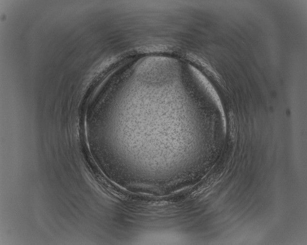 X0000073720631200608171204