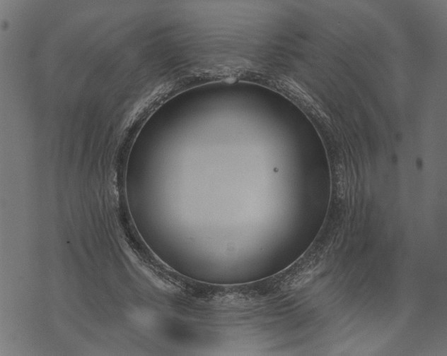 X0000073720634200608171204