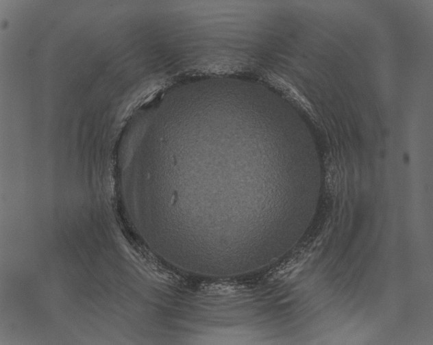 X0000073720635200608171204