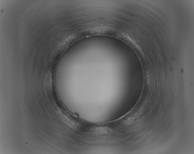 X0000073720637200608171204