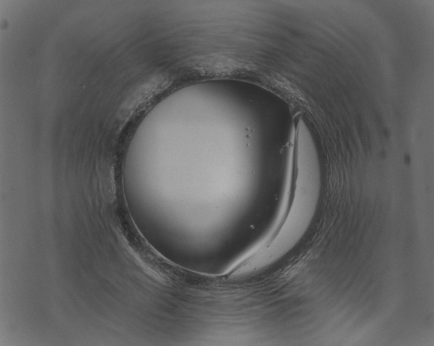 X0000073720638200608171204