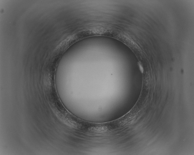 X0000073720639200608171204