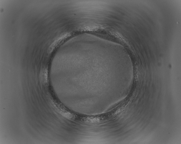 X0000073720640200608171204