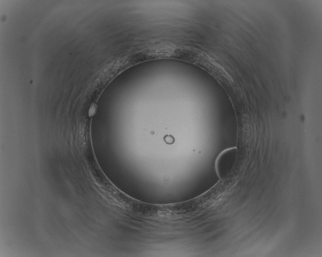 X0000073720641200608171204