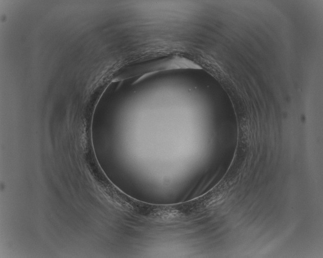 X0000073720642200608171204