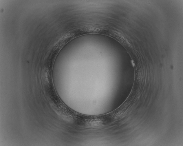 X0000073720643200608171204