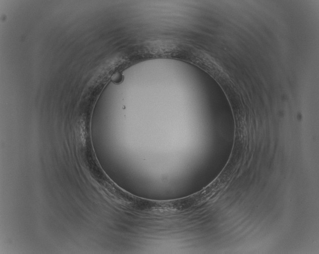 X0000073720644200608171204