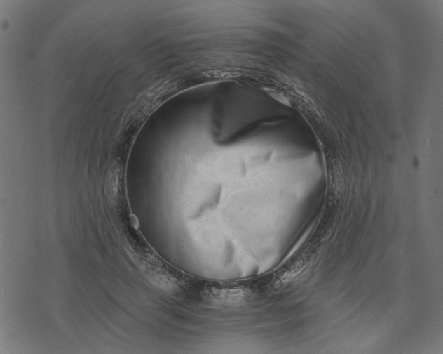 X0000073720645200608171204