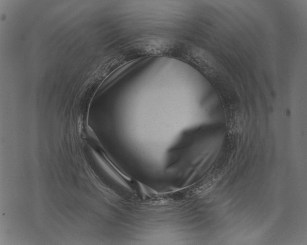 X0000073720646200608171204