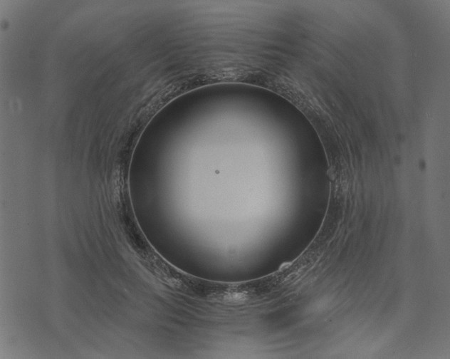 X0000073720647200608171204