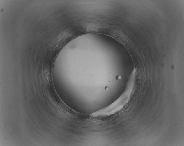 X0000073720648200608171204