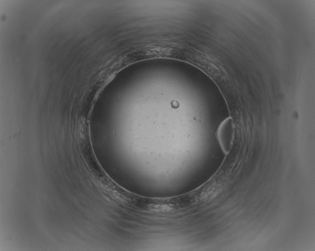 X0000073720649200608171204