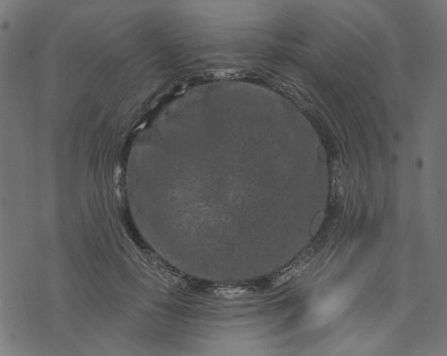 X0000073720650200608171204