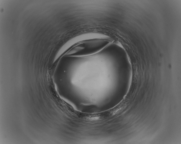 X0000073720651200608171204