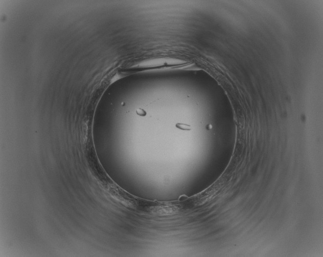 X0000073720652200608171204