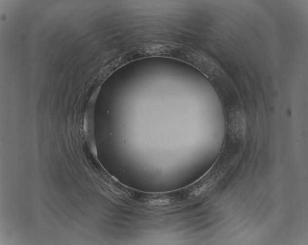 X0000073720653200608171204