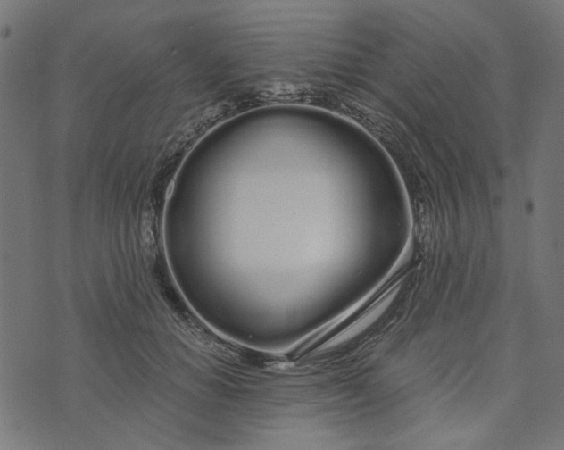 X0000073720654200608171204