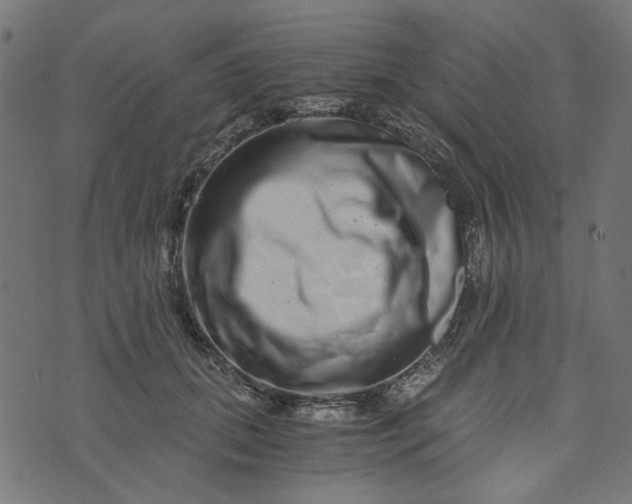 X0000073720655200608171205