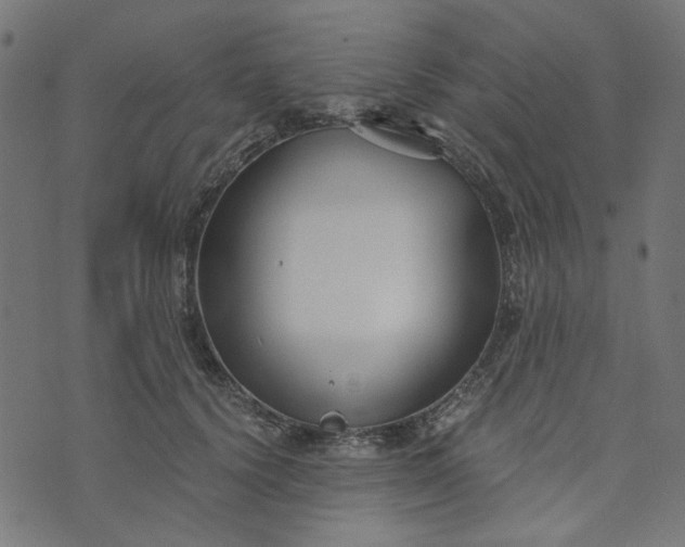 X0000073720656200608171205