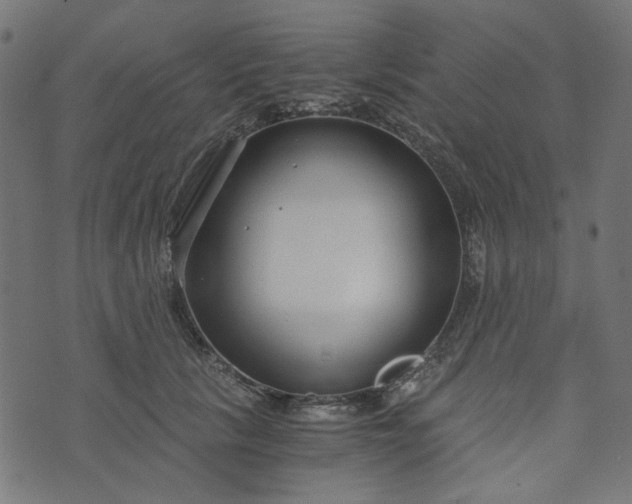 X0000073720657200608171205