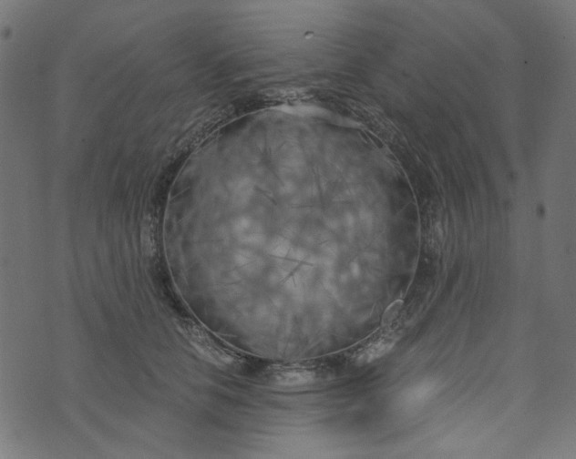 X0000073720658200608171205