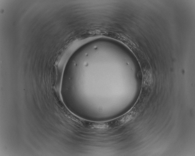 X0000073720659200608171205