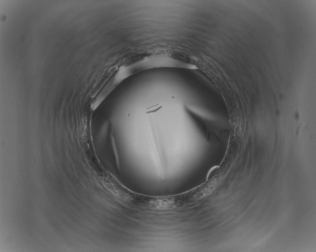 X0000073720660200608171205