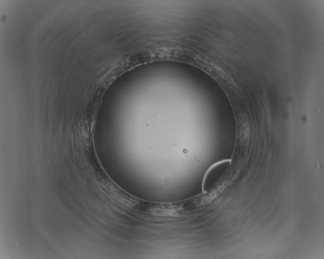 X0000073720661200608171205