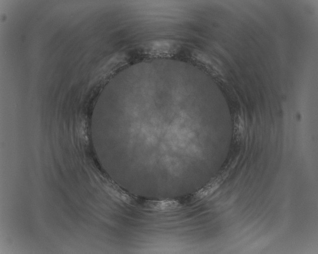 X0000073720663200608171205