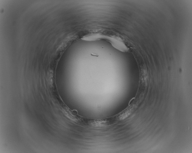 X0000073720664200608171205