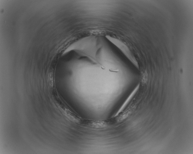 X0000073720666200608171205