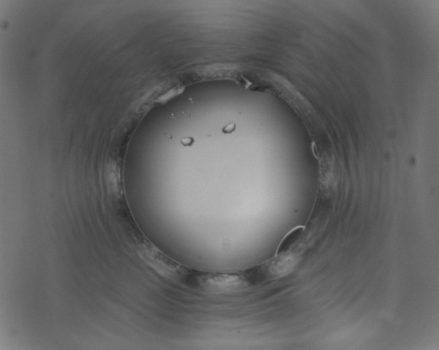 X0000073720669200608171205