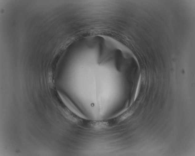 X0000073720670200608171205